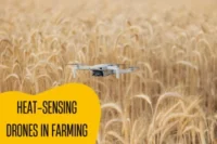 Do Drones Have Heat Sensors for Farm and Home Use