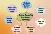 10 Practical Benefits of Using Drones in Agriculture